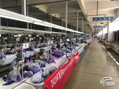 雄业玩具制衣:升级产品开拓市场提高员工收入