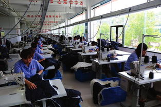 横山县羊产业 打开幸福之门，农民致富不是梦